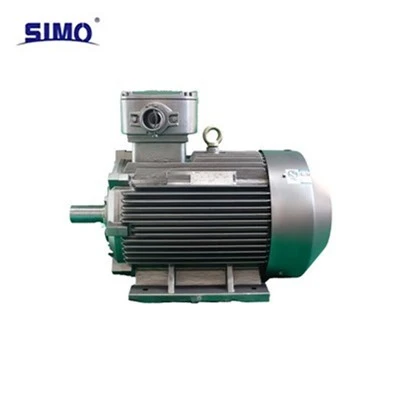 Silnik pneumatyczny w wykonaniu przeciwwybuchowym Exdb II CT4 Gb YBX3-132S1-2-5.5KW-380V-IP55-B3